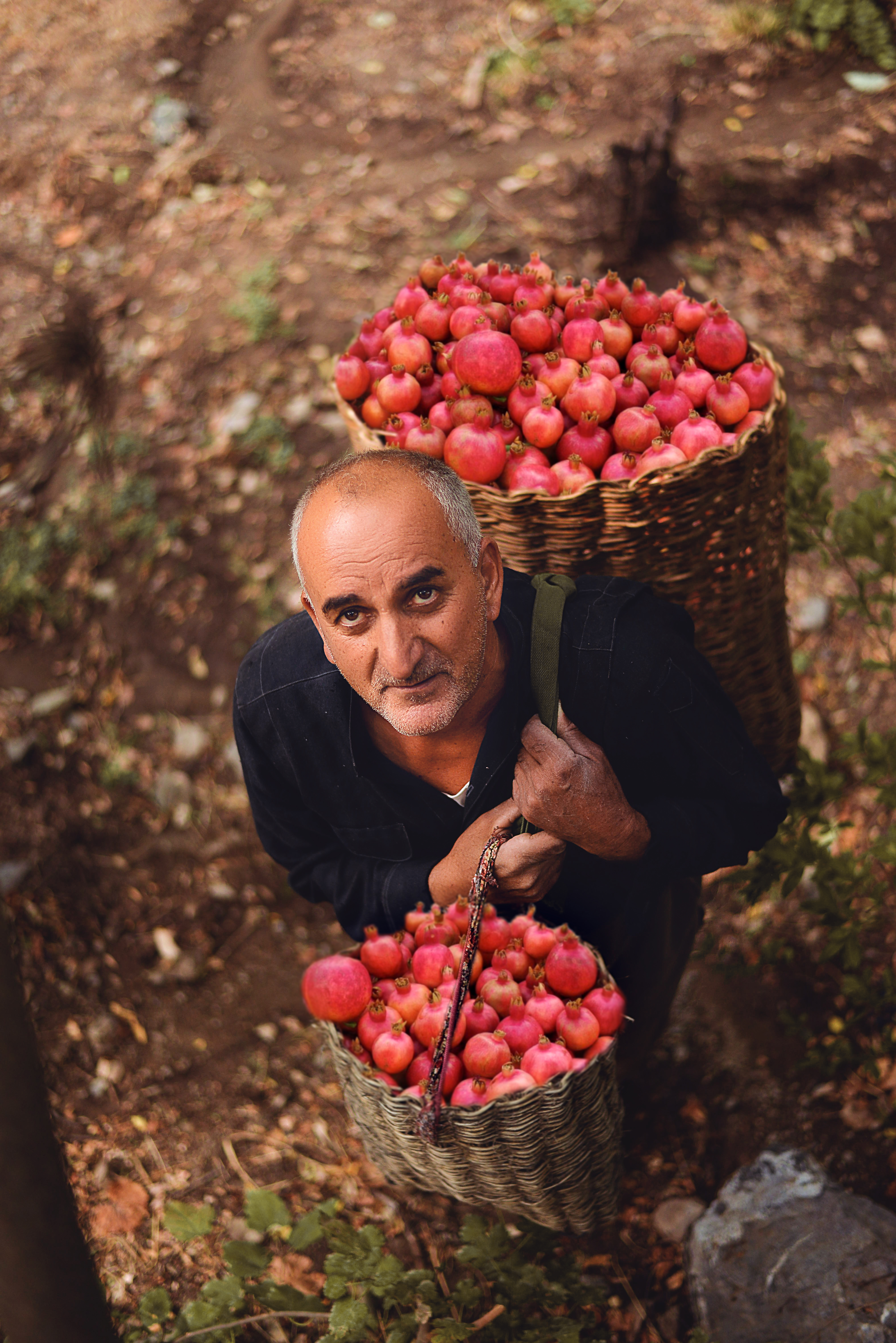 هەنار - Pomegranate فۆتۆ ـ شەماڵ حیسامەدین
